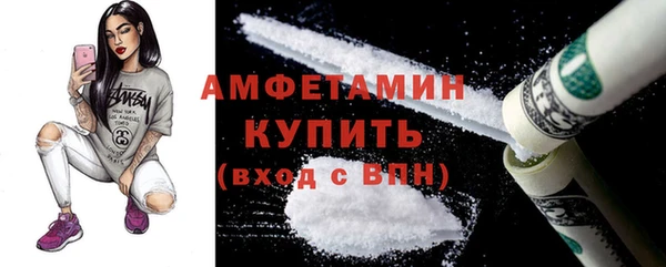 гидра Алексеевка