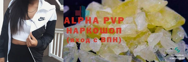 гидра Алексеевка
