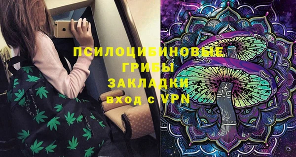 гидра Алексеевка