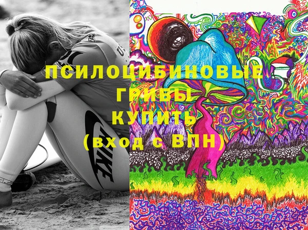 Альфа ПВП Алексин