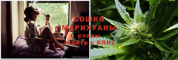 гидра Алексеевка